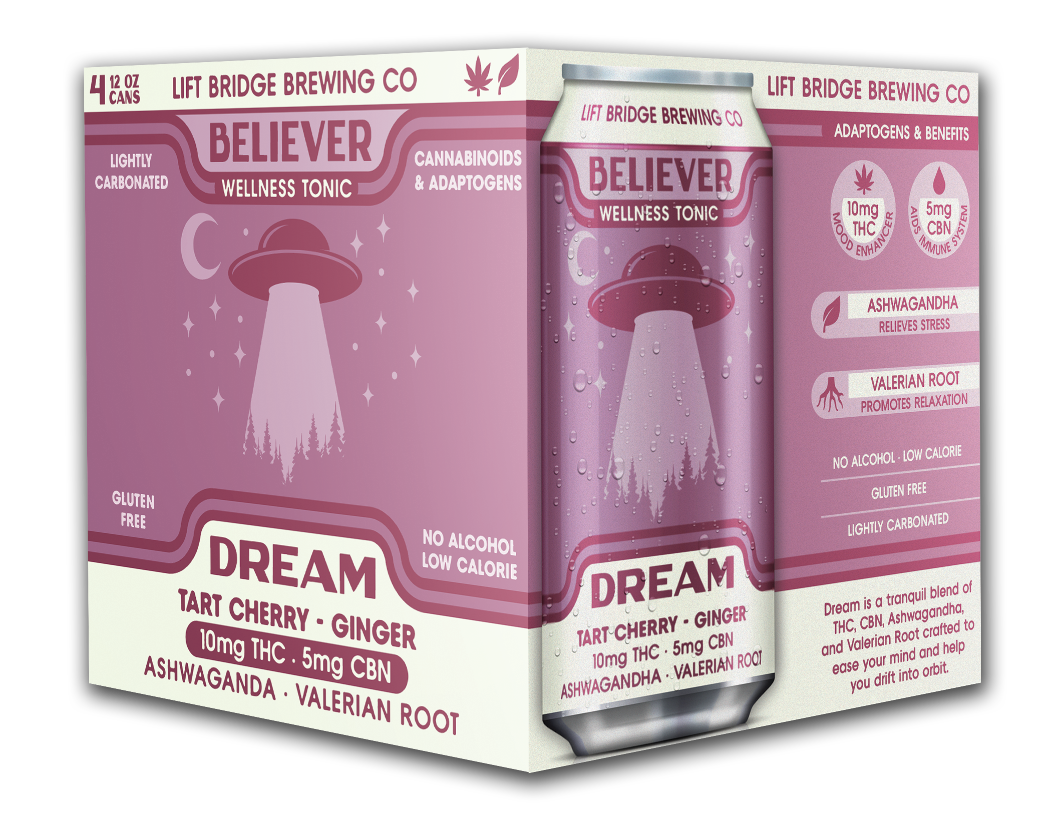 DREAM · Wellness Tonic 4-Pack